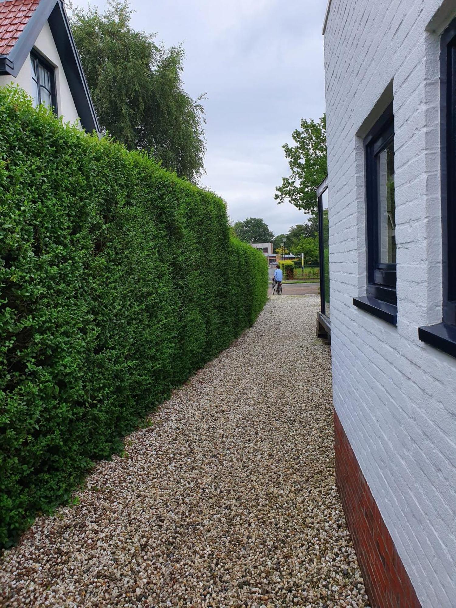 Zelfstandig Gastenverblijf In Het Groene Haren Nabij Groningen المظهر الخارجي الصورة